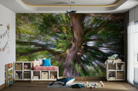 Peaceful forest landscape mural
