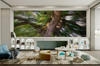 Nature photography wall wallpaper
