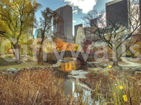 Manhattan's Autumn Embrace wallpaper mural shown as a full-wall view of Central Park's bridge and the fall skyline