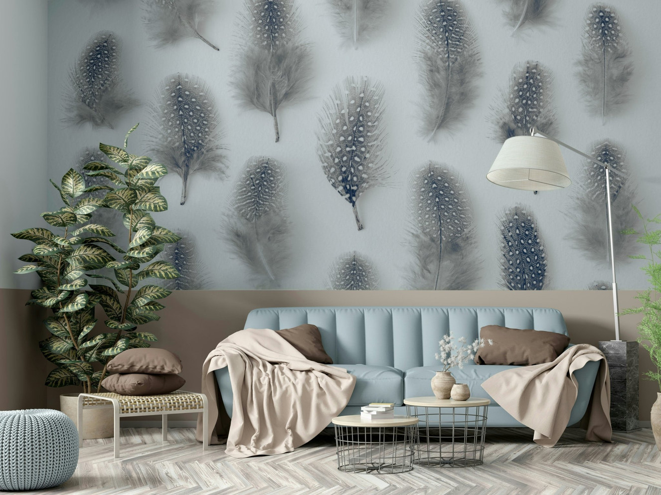 Artistic arrangement of feathers.

