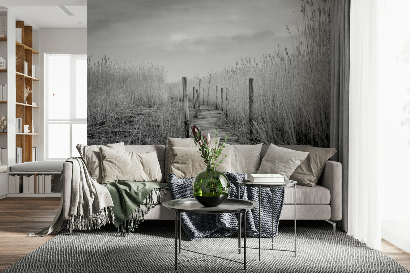 Monochrome Marsh Path Wall Mural -2487649