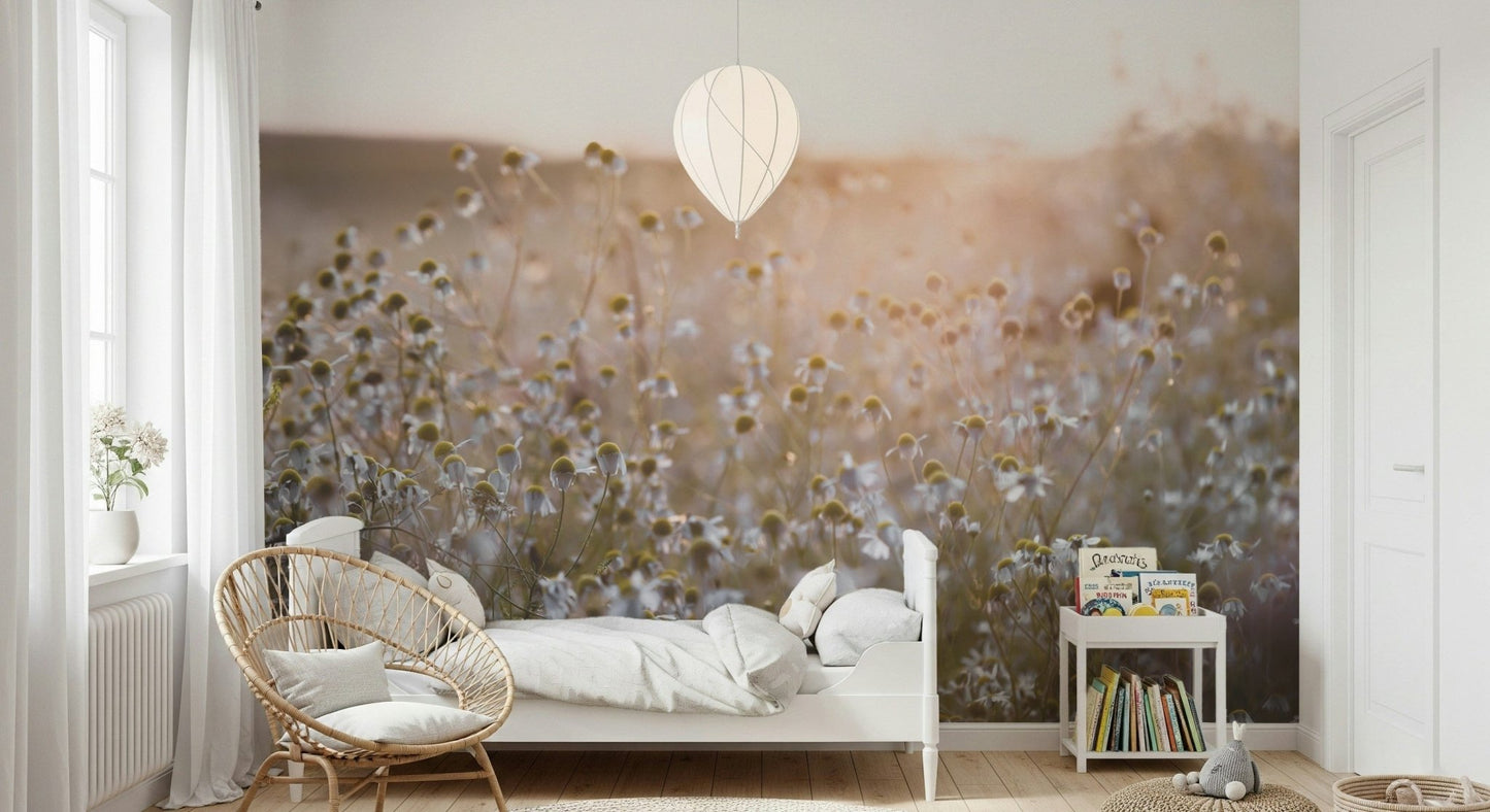 Hazy golden sunlight behind Meadow Bloom Sunset wallpaper.