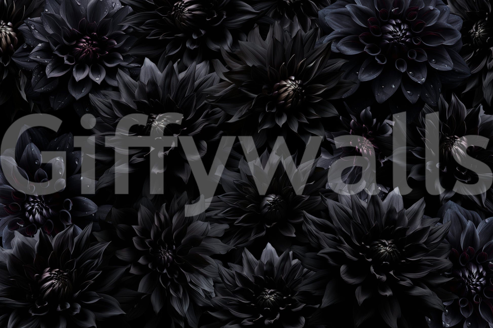 Midnight Bloom floral wallpaper for walls

