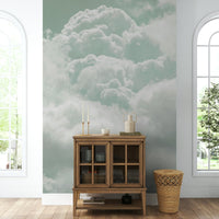 The wallpaper for walls being admired in a home.