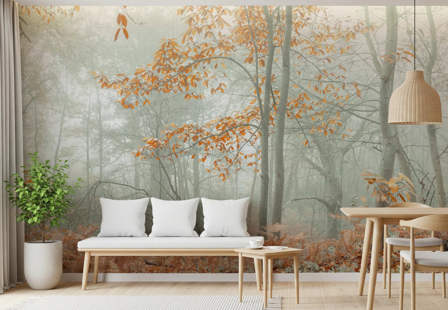 Misty Autumn Morning Wall Mural