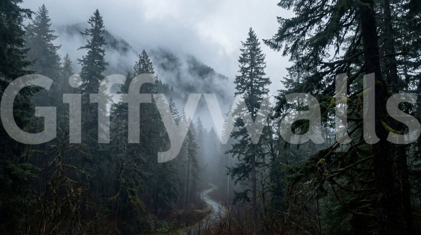 Misty Forest Path In Winter Wall Mural