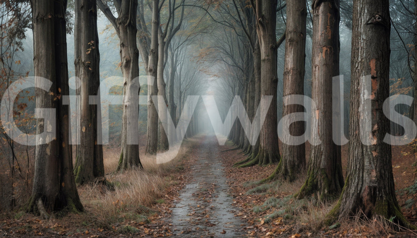 Misty Forest Path Wall Mural