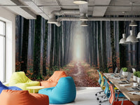 Scenic forest wall mural foggy woodland path view