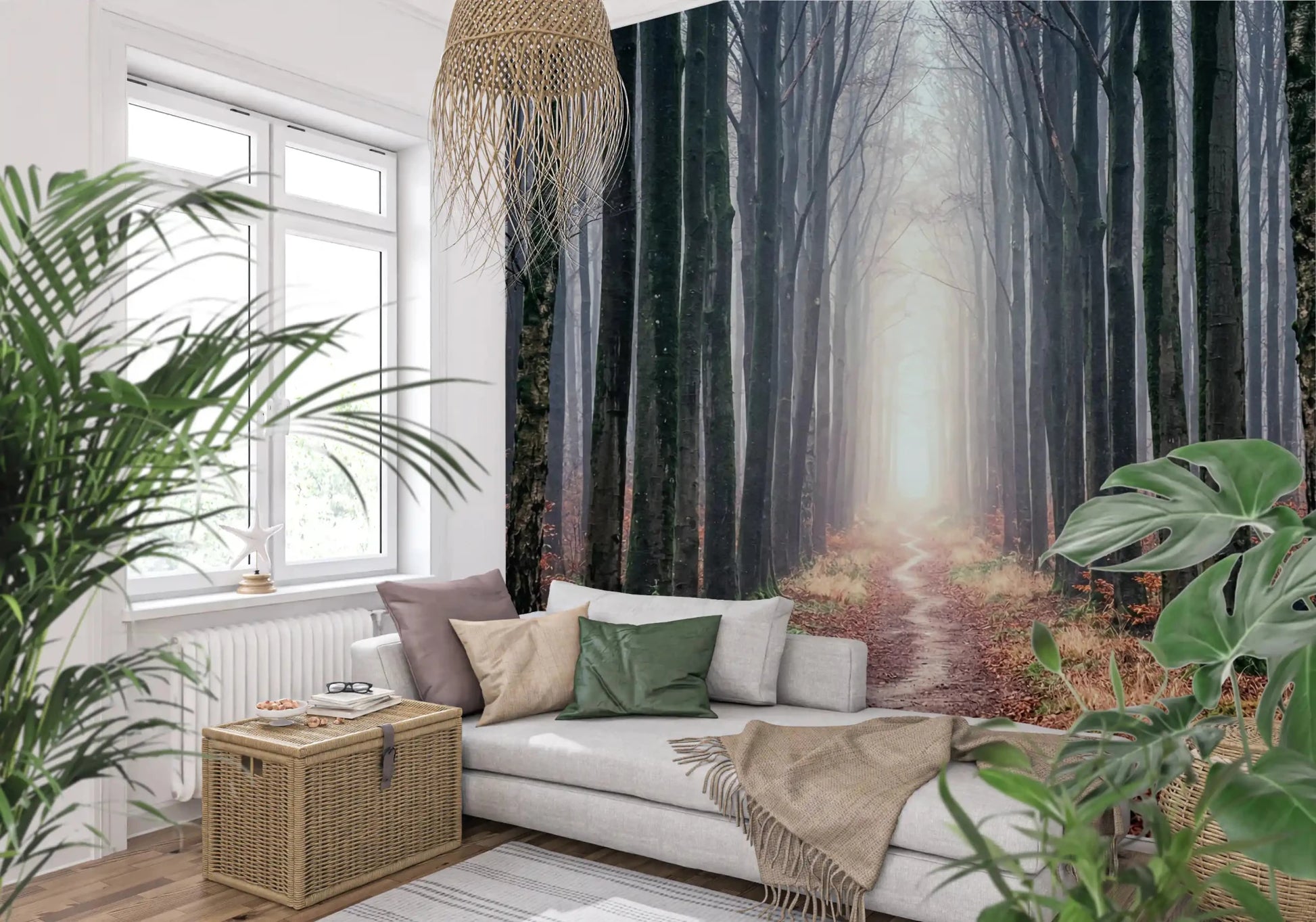 Foggy woodland wall mural forest path and tall trees