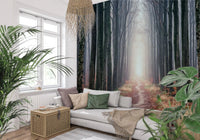 Foggy woodland wall mural forest path and tall trees