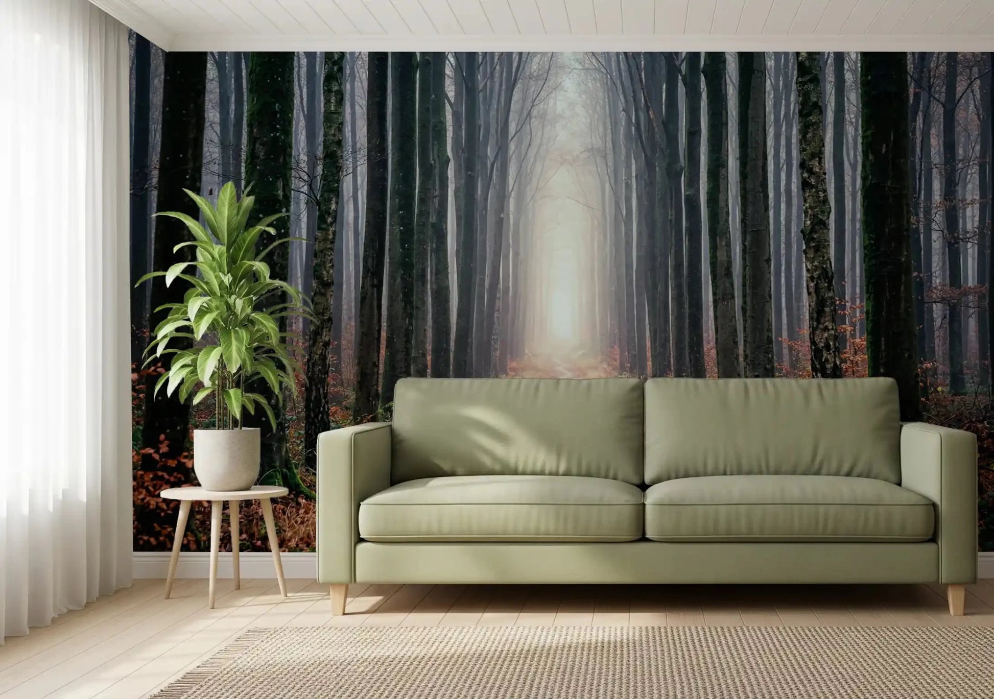 Living room misty forest wall mural woodland path view