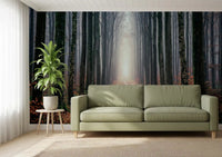 Living room misty forest wall mural woodland path view