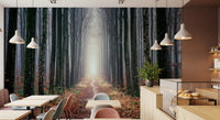 Forest path wall mural misty trees autumn leaves