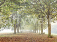 The wallpaper has a smooth, non-reflective matte finish.

