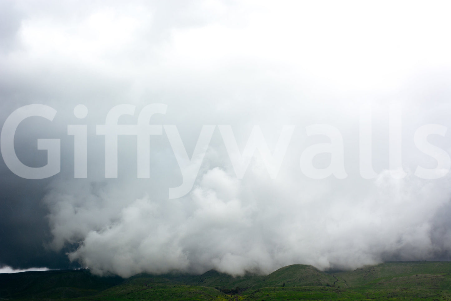 A detail of the warm tones in the field and sky.