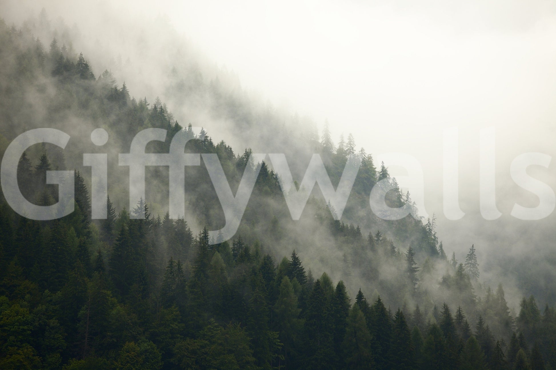 A high-quality minimalist tree wall mural for walls.

