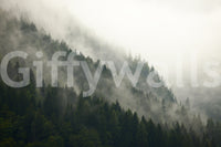 A high-quality minimalist tree wall mural for walls.

