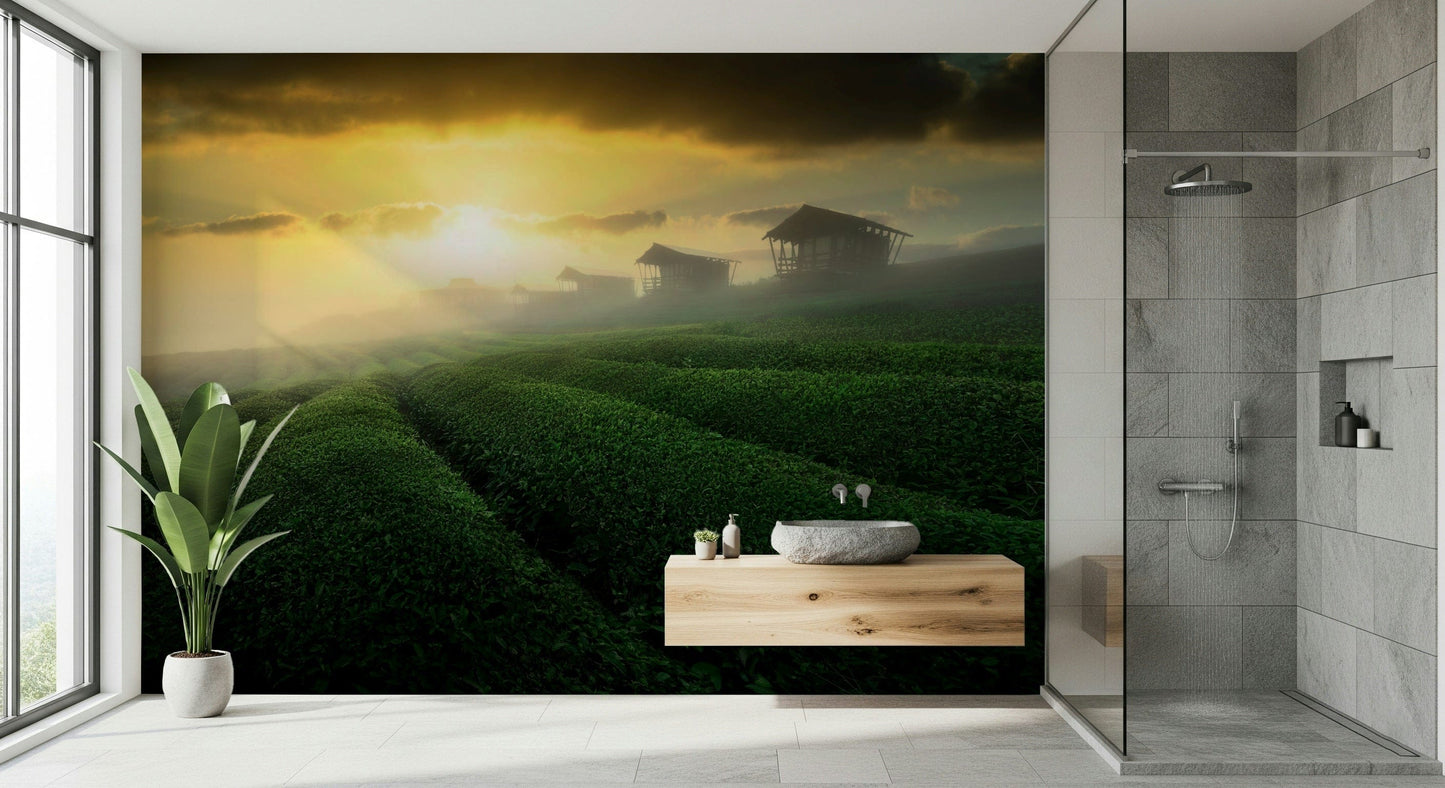 Golden Mist Tea Estate Wall Mural -2353176
