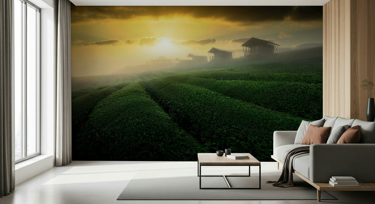 Golden Mist Tea Estate Wall Mural -2353176