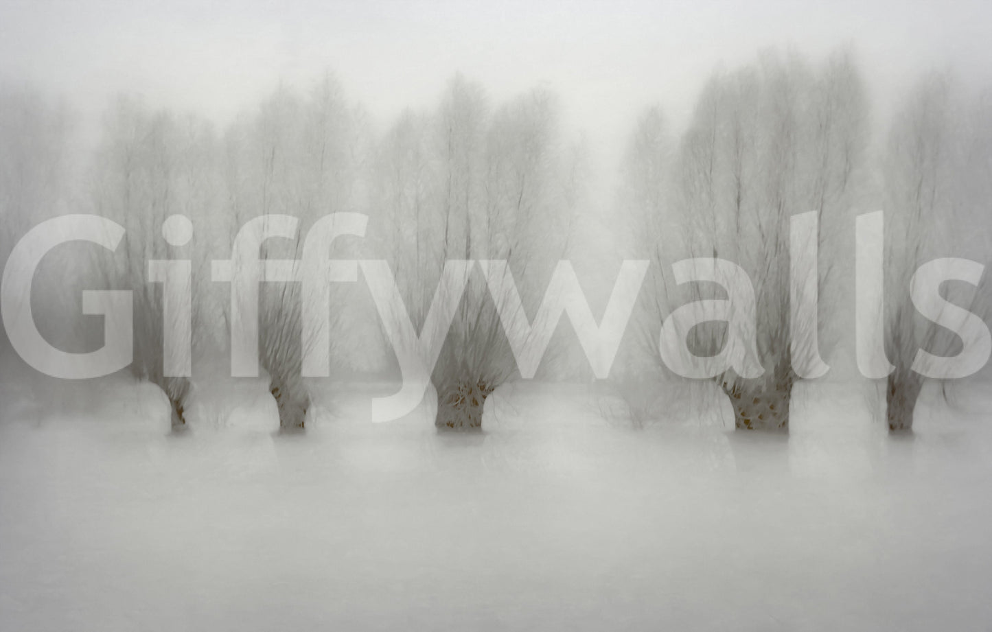 Misty Grove Serenity Wall Mural -1471005