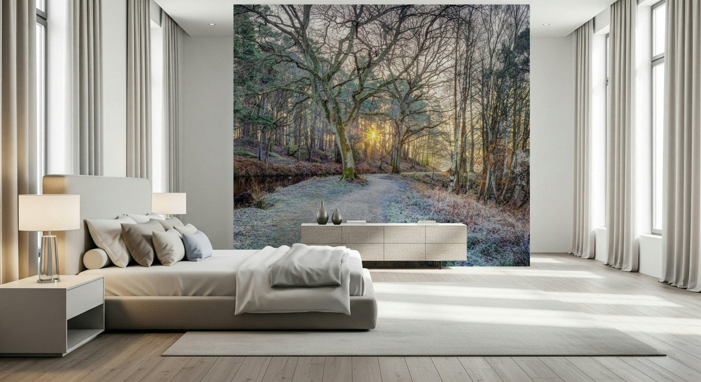 Misty Woodland Glare mural over a beige upholstered bed and long sideboard between tall curtained windows