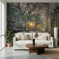 Misty Woodland Glare mural with a white curved sofa, round walnut table and potted fiddle-leaf fig