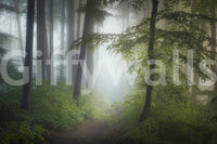 Misty Woods Escape wall mural shows foggy forest scene