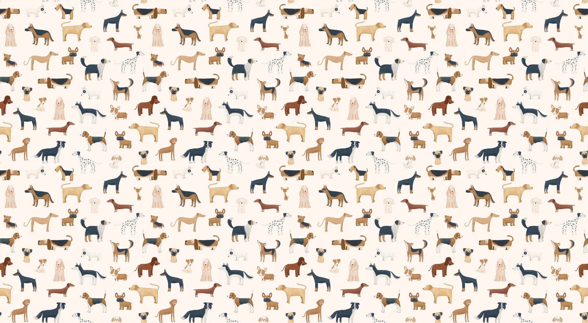 Funny Dog Wallpaper