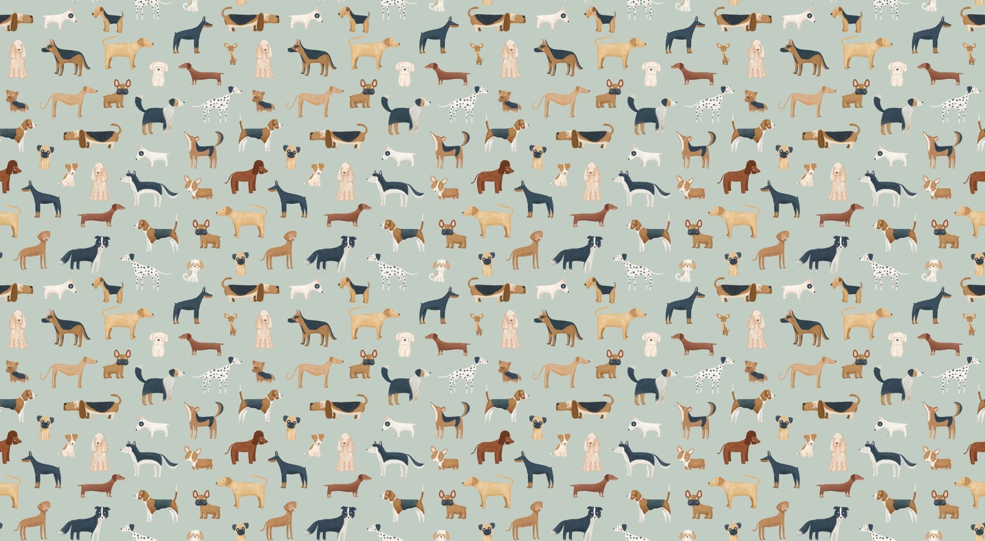Green Puppy Dog Wallpaper
