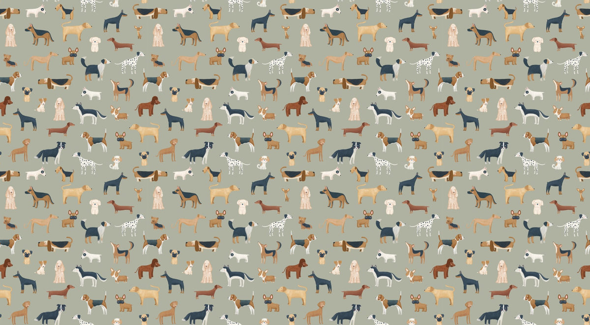 Diverse Dog Breeds Wallpaper in your room — zoomed