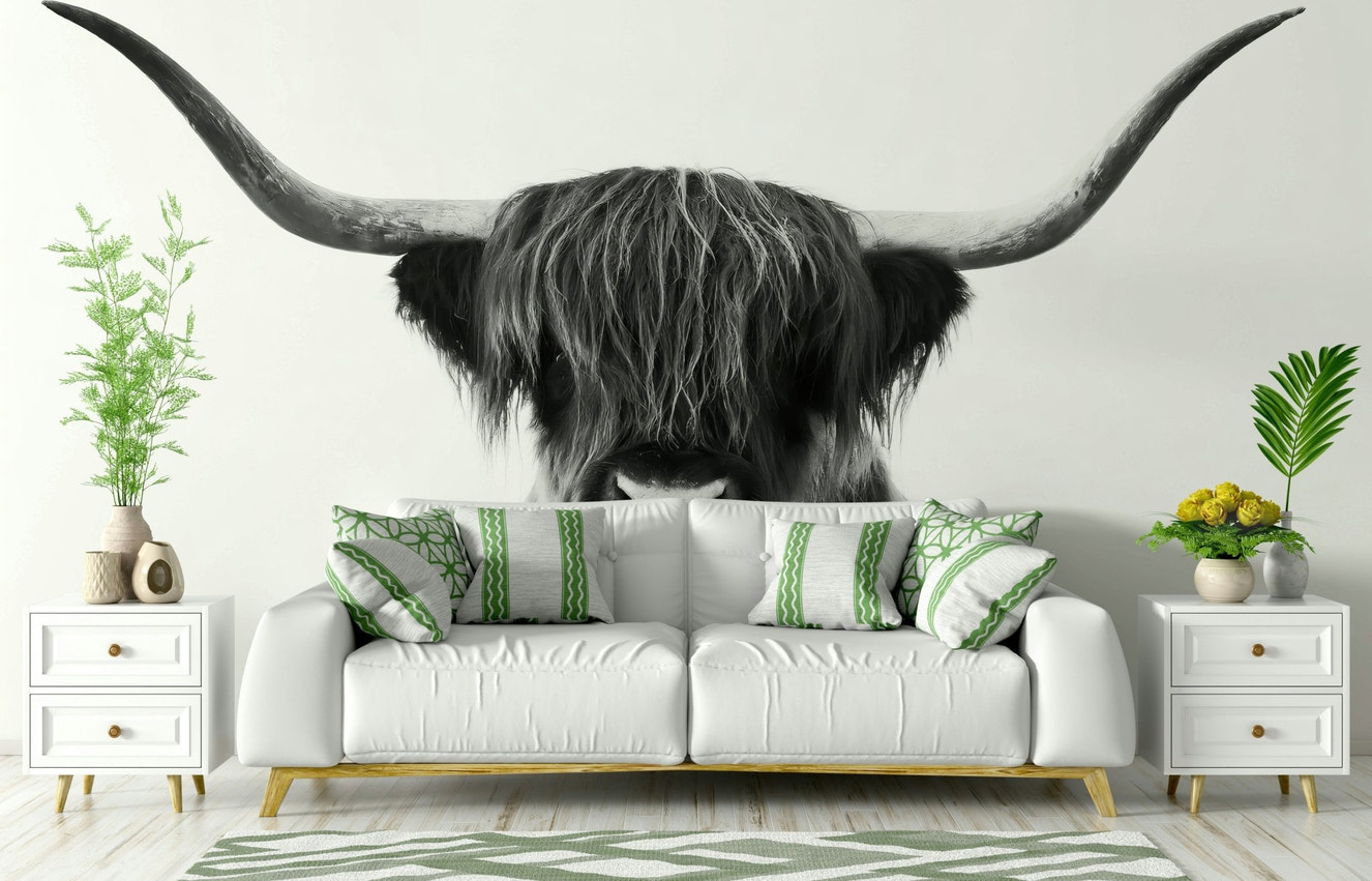 Black‑and‑white close‑up of Highland cow face and horns mural

