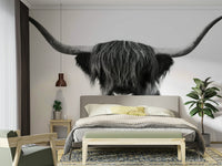 Highland cow wall mural with bold contrast and details

