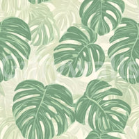 Vibrant green monstera leaf mural for bringing nature indoors.

