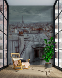 The image shows a panoramic view of classic Parisian roofs and chimneys.

