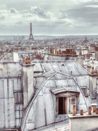 The rooftops are the central focus of the image.

