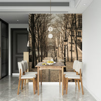 Montmartre Stairs Wallpaper Vintage Parisian stairway scene mural.