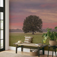 A beautiful serene field wallpaper mural under moonlight.

