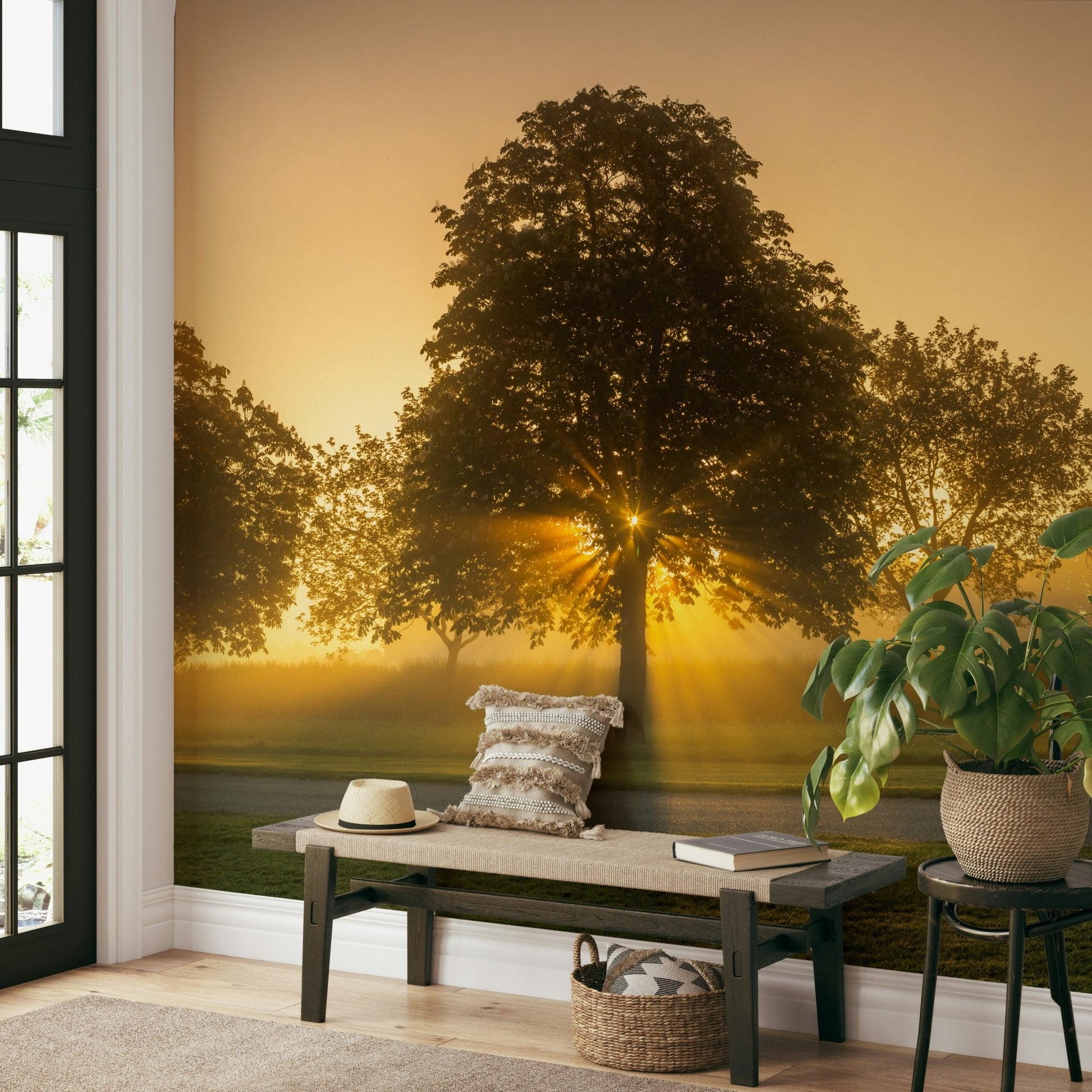 Morning light streaming over a peaceful landscape wall mural

