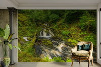 Mossy Falls beautiful mural wallpaper

