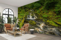 Mossy Falls tranquil wallpaper

