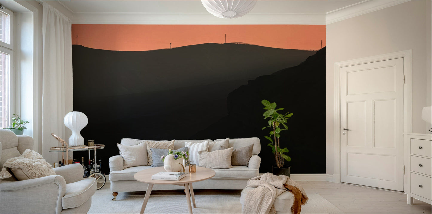 The wallpaper is used as a feature wall in a bedroom.

