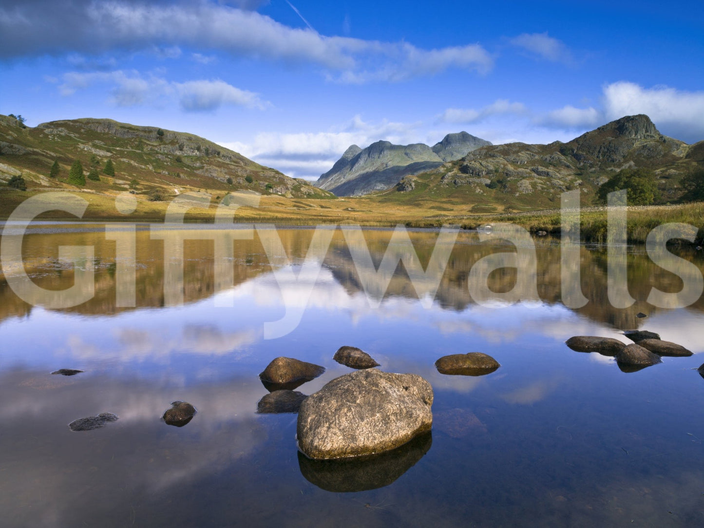 Clear sky reflection wall mural in nature