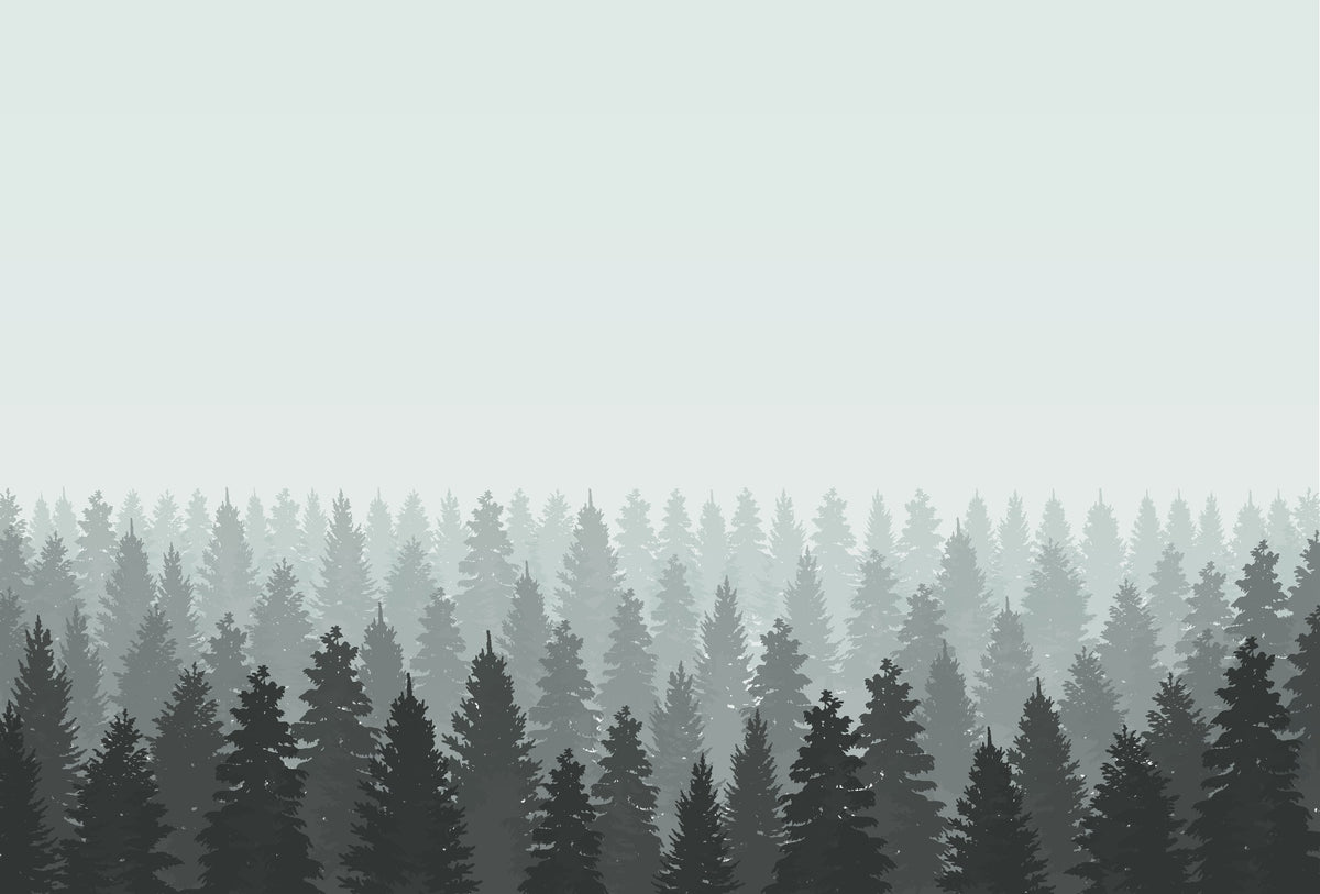 Dark Foggy Forest Tree Wallpaper in your room