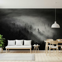 Luminous wall mural, silhouetted forest canopy in dense mist.