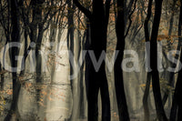 Beams of light, tranquil forest mural, awesome Mystic Woods collection.