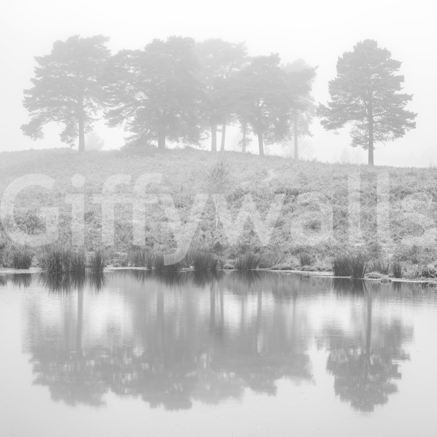 Mystical Reflections Wall Mural