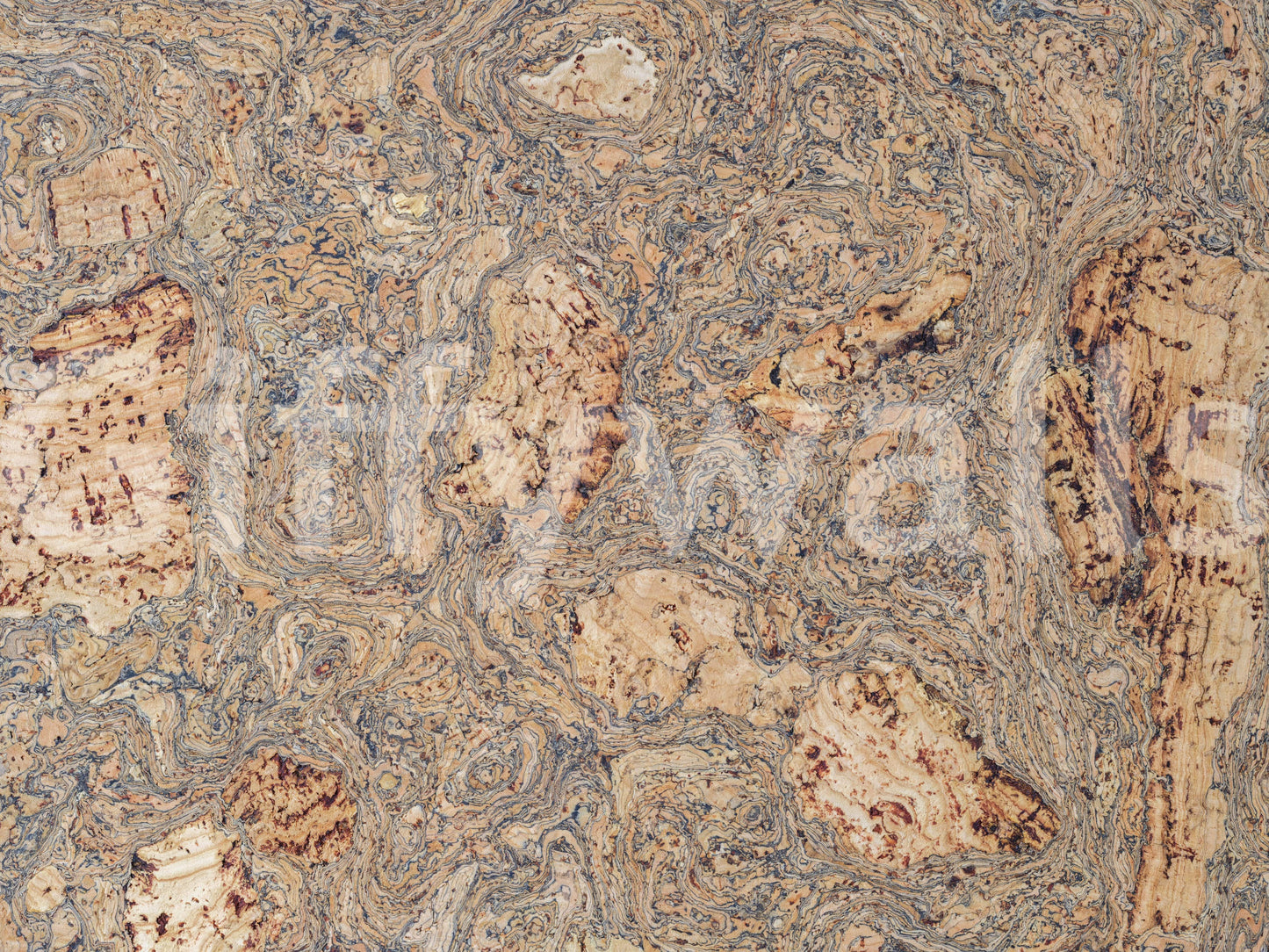 A detail of the warm tones in the bark and grain.