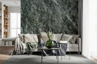 Natural Stone Finish Wall Mural -2566623