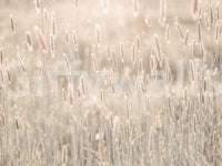 Nature's Bliss Wall Mural