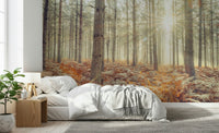 Large scale Nature's Spotlight Wall Mural used in a contemporary dining room.